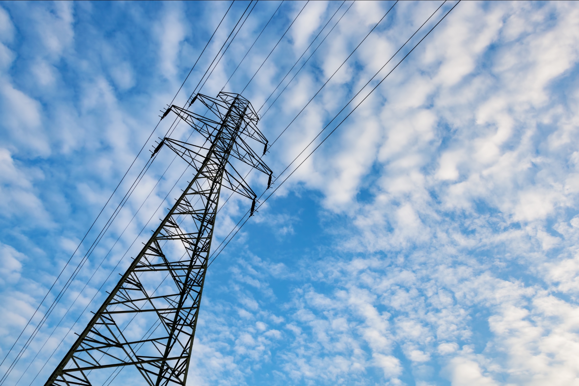 Transmission & Distribution Infrastructure